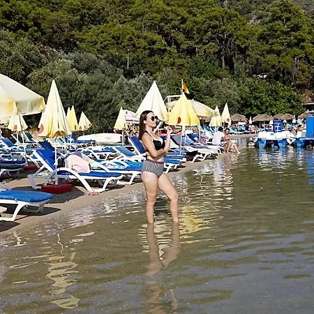 Vento 3*