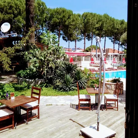 Vento 올루데니스