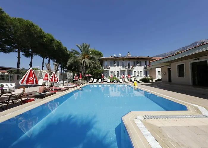 Vento 올루데니스